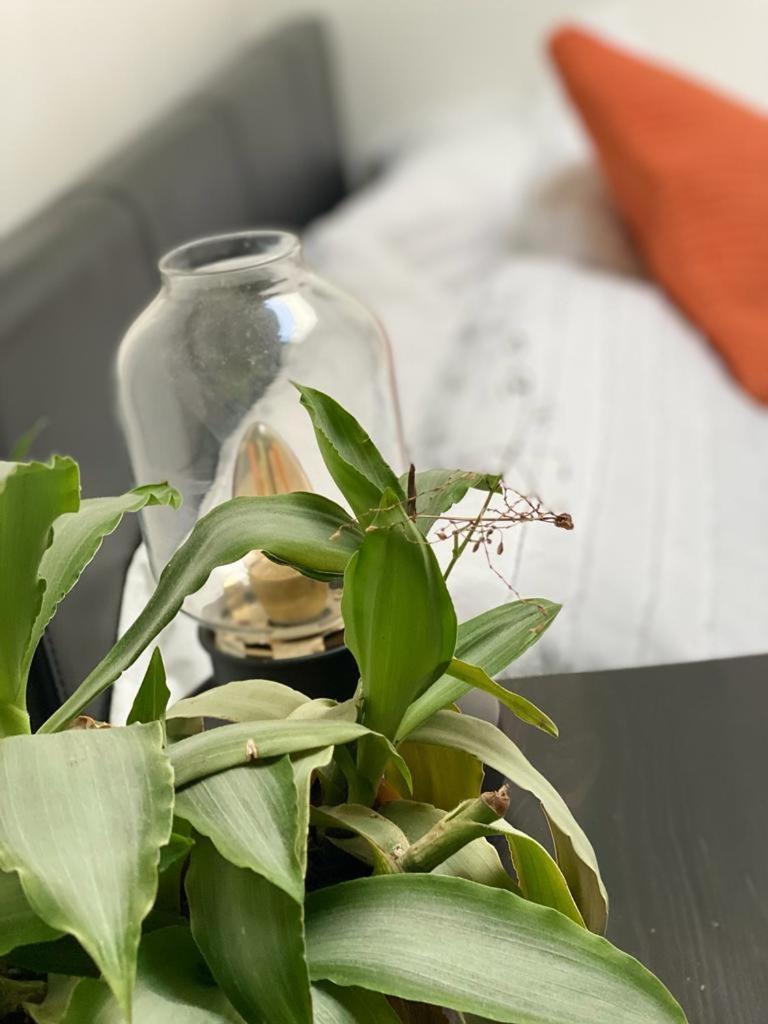 Quarto em Acomodações Particulares Penge Luxury Retreat *